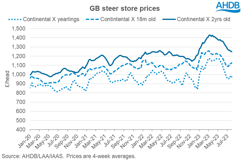 Chart showing evolution of GB store steer prices for yearlings, 18-month and 2-year old animals